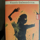Vigdis Grimsdottir : Nimeni on Isbjörg. Olen leijona. - pikkukuva 1