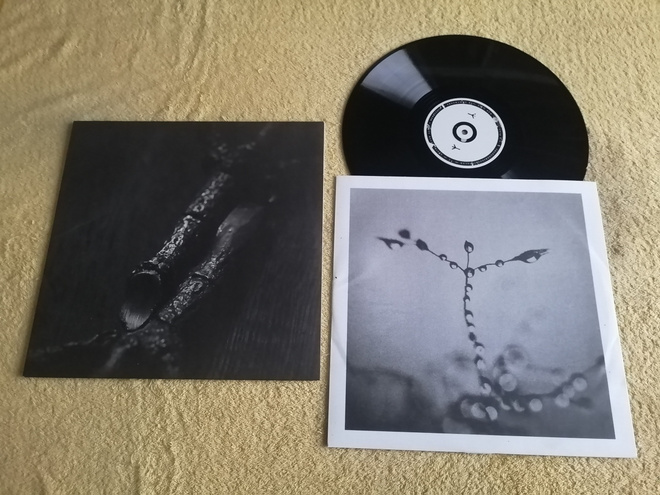 TREPANERINGSRITUALEN - Algir; Eller Algir I Merkstave LP