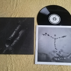 TREPANERINGSRITUALEN - Algir; Eller Algir I Merkstave LP - pikkukuva 1