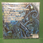 RINGS OF SATURN - DINGIR M / M  U.S 2013 LP + NIMMARIT - pikkukuva 2
