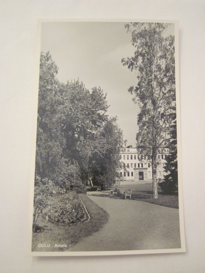 VANHA Postikortti Oulu 1950-l Alkup.Mallikappale