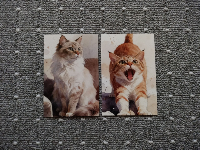 ~Kissa kortti~ 2kpl