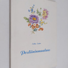Erika Ender : Posliinimaalaus - pikkukuva 1