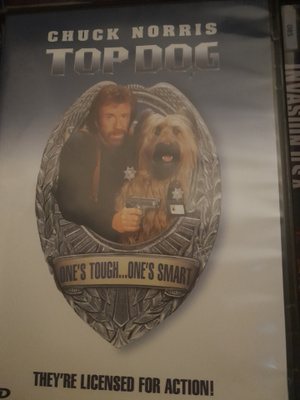 top dog kyttä ja koira R1