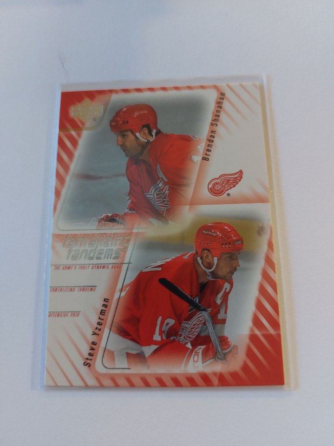 2001-02 Upper Deck Tandems T3 Brendan Shanahan/Steve Yzerman
