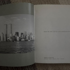 What We Saw: The Events of September 11, 2001 KIRJA + DVD - pikkukuva 4
