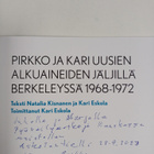 Natalia Kisnanen : Pirkko ja Kari uusien alkuaineiden jäl... - pikkukuva 3