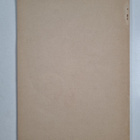 Jyväskylän koeyhteiskoulu 1919-1920 : Jyväskylän suomalai... - pikkukuva 2