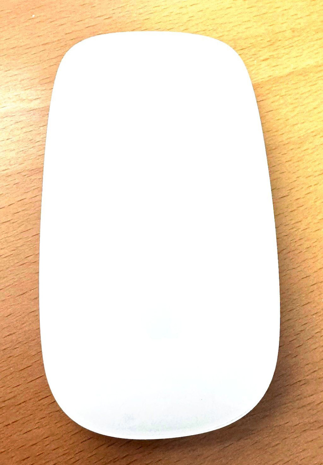 Apple Magic Mouse 1st gen