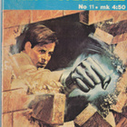 Teräsnyrkki No.11 (1975) Operaatio tulva - pikkukuva 1