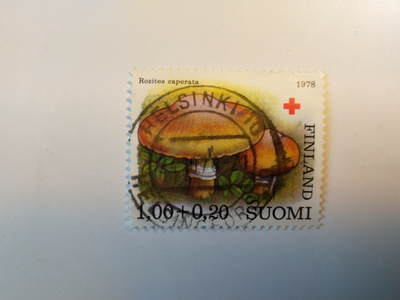 Postimerkki Rozites caperata Punainen risti 1978