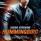 Hummingbird - DVD - pikkukuva 1