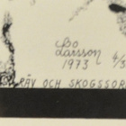 Bo Larsson -73 - pikkukuva 2