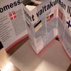 Siniristilippumme, Lipputietoa, Suomen lippu, ym. - pikkukuva 5