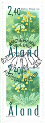 Åland 1999 Kevätesikko 2,40 mk EP LOISTO LaPe 156 PARI