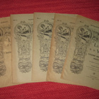 Luonnon Ystävä 21 numeroa  v:lta 1899 - 1908 - pikkukuva 1