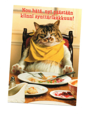 °°KISSA...Odottaa SYNTTÄRIKAKKUA°° -KORTTI /(Avanti) KARTO