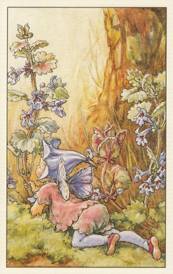 Cicely Mary Barker: Kukkakeijut maahumala
