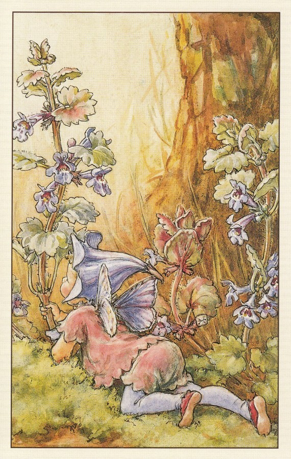 Cicely Mary Barker: Kukkakeijut maahumala