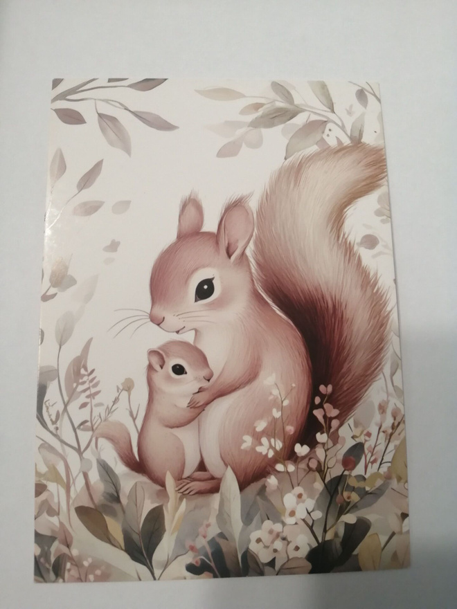 Orava emo ja poikanen
