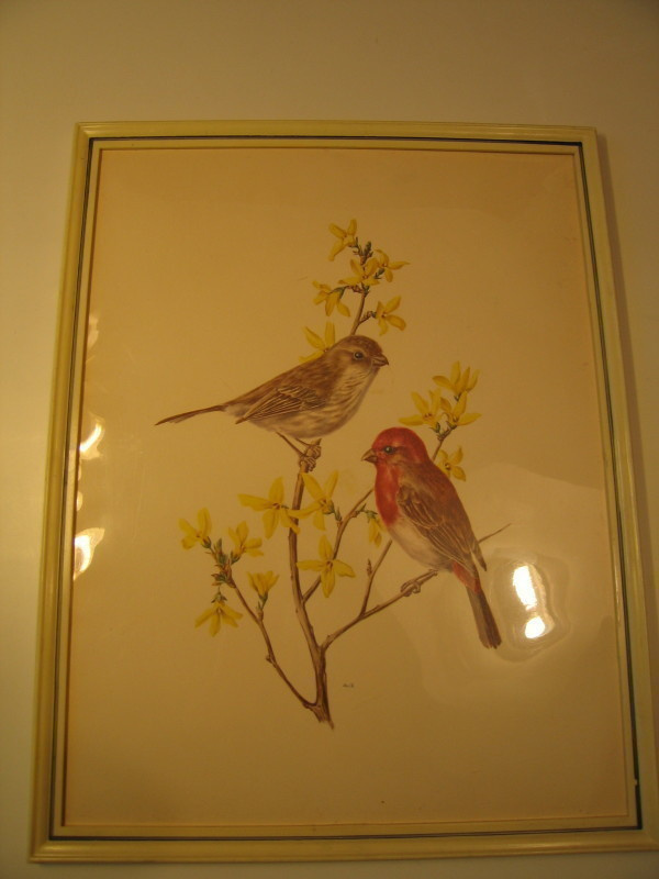 Kaunis sisustustaulu linnut 34 x 26 cm, kehystetty ja pleksi
