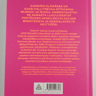 Thomas Kirjonen : Kasmir : annoskateus : stooreja ja rese... - pikkukuva 2