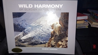 SUMIO HARADA : WILD HARMONY ( SIGNED ) SIS POSTIKULUT