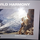 SUMIO HARADA : WILD HARMONY ( SIGNED ) SIS POSTIKULUT - pikkukuva 1