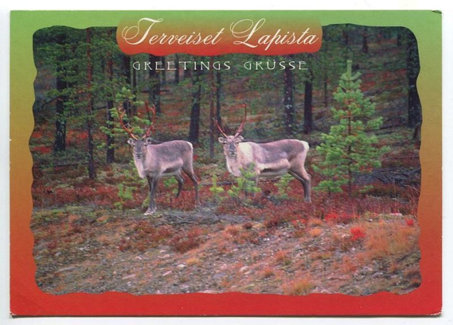 Poroja, Terveiset Lapista 1990-luku