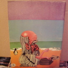 FLEETWOOD MAC MYSTERY TO ME - nuottikirja - pikkukuva 2