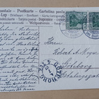 Perhe vetää aasin kärrylllä koivuja Helluntaiksi, p. 1907 - pikkukuva 2