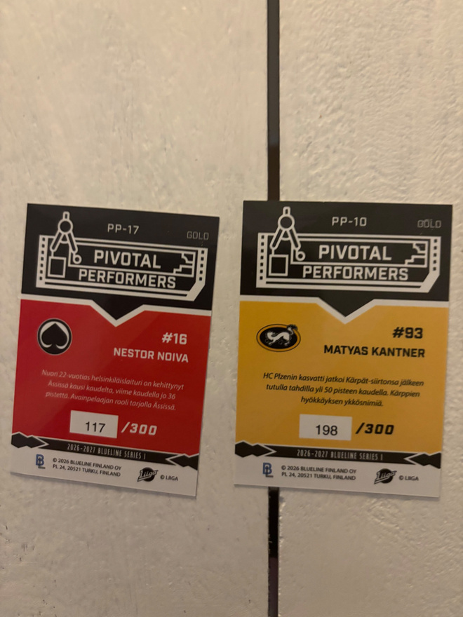 Blueline 2026/27 Pivotal Performers Gold  5€