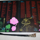 Frank Zappa - Joe's Garage acts I II & III LP - pikkukuva 4