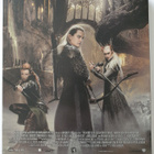 THE HOBBIT DESOLATION OF SMAUG BLURAY LORD OF THE RINGS STEE - pikkukuva 2