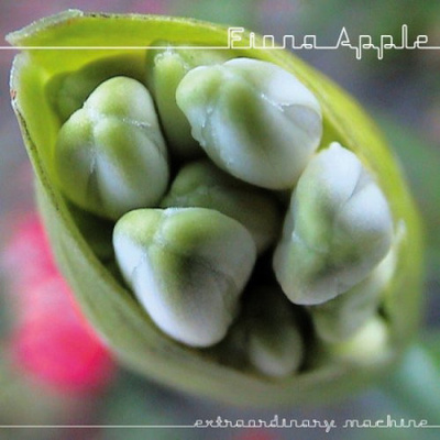 Fiona Apple - Extraordinary machine