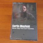 Curtis Mayfield:Never Say You Can't Survive.C-kasetti.Uusi! - pikkukuva 1