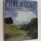 Pilvi : Ruotsalainen maisemamaalaus 1800-luvulla - pikkukuva 1