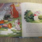 WALT DISNEY: MARIE KARKUTEILLÄ - pikkukuva 5