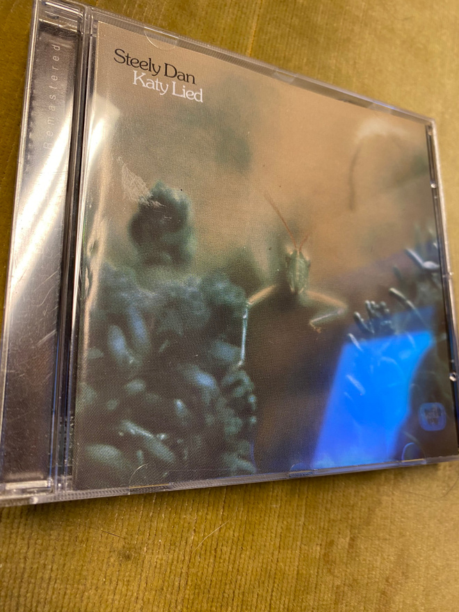 Steely Dan: Katy lied