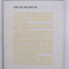 Jussi Talasniemi : Sielun pelastus : Christian Scriverin ... - pikkukuva 2