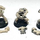 WH40K - 7kpl Space Marines (Rogue Trader) [K74] - pikkukuva 2