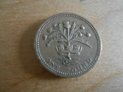 1984 Elizabeth II One Pound Coin.