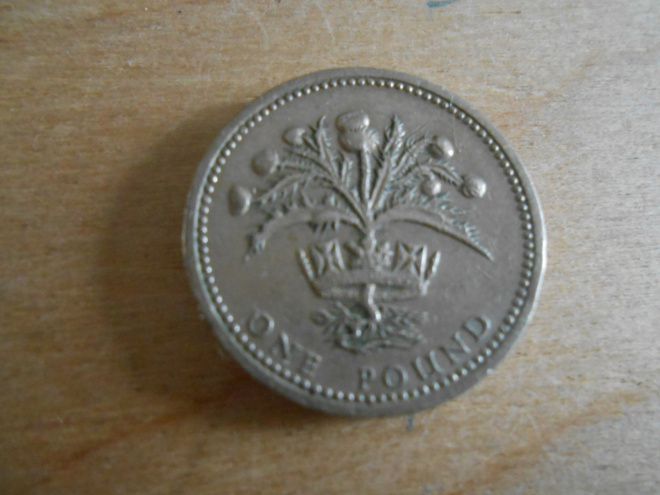 1984 Elizabeth II One Pound Coin.