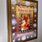 Sini Bonke : Ripley's usko tai älä! : 2010 - pikkukuva 1
