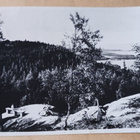 Koli, retkeilijä ihailee maisemaa, SMY N:o 1208, p. 1975 - pikkukuva 1