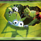 Disney/Pixar: A Bug´s Life - taidekirja - pikkukuva 1