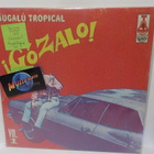 VARIOUS - GOZALO BUGALU TROPICAL VOL. 1 M-/M- 2LP - pikkukuva 1