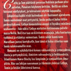 Maeve Binchy; Punaisen höyhenen keittiö - pikkukuva 2