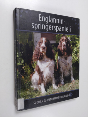 Englanninspringerspanieli