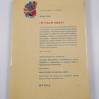 Elmer Horn : Intiaanisaari : seikkailuromaani - pikkukuva 2